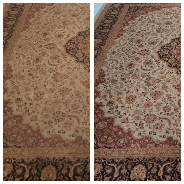 Carpet Cleaning Before and After 1-min