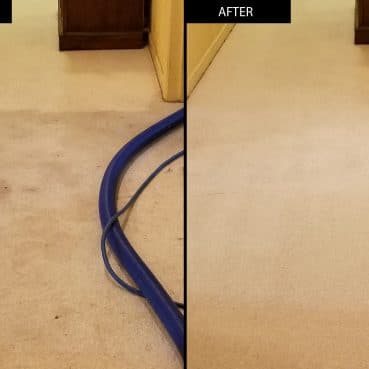 Carpet Cleaning Before and After 8-min