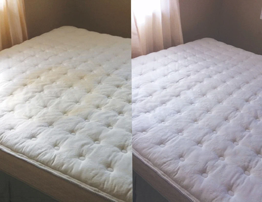 Mattress Cleaning Before and After 1