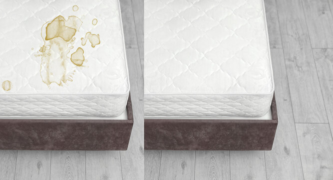 Mattress Cleaning Before and After 5