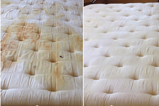 Mattress Cleaning Before and After 5