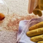Stain Removing services